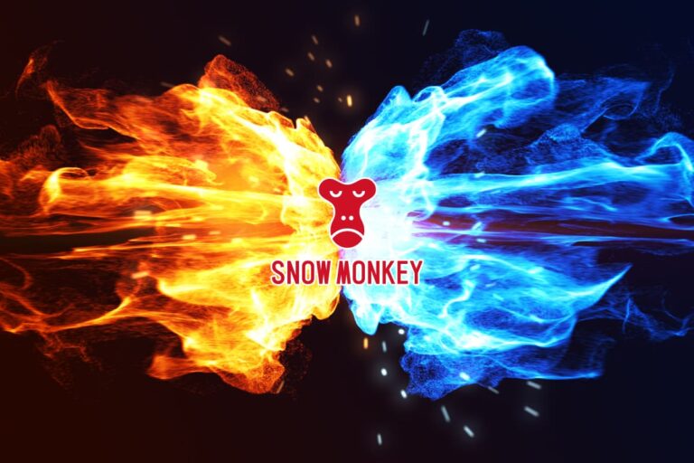 Snow Monkey